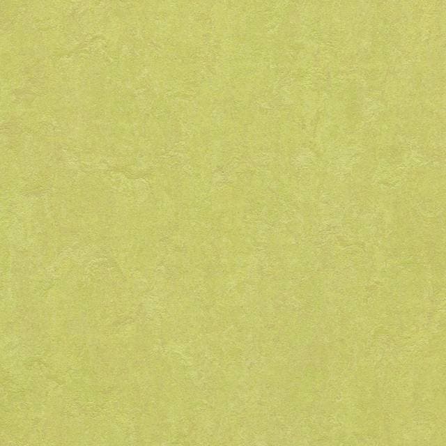 Forbo Marmoleum Click 333885