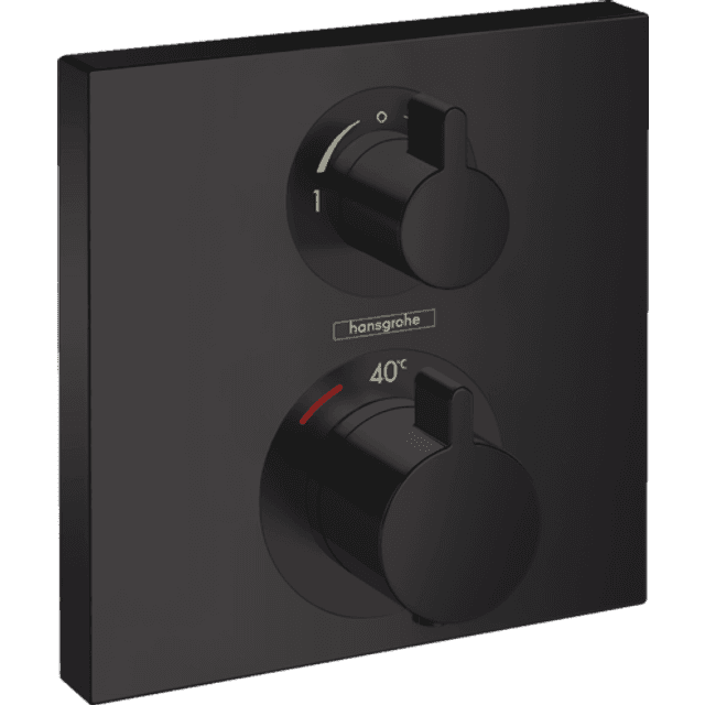 Hansgrohe Ecostat (15714670) Sort