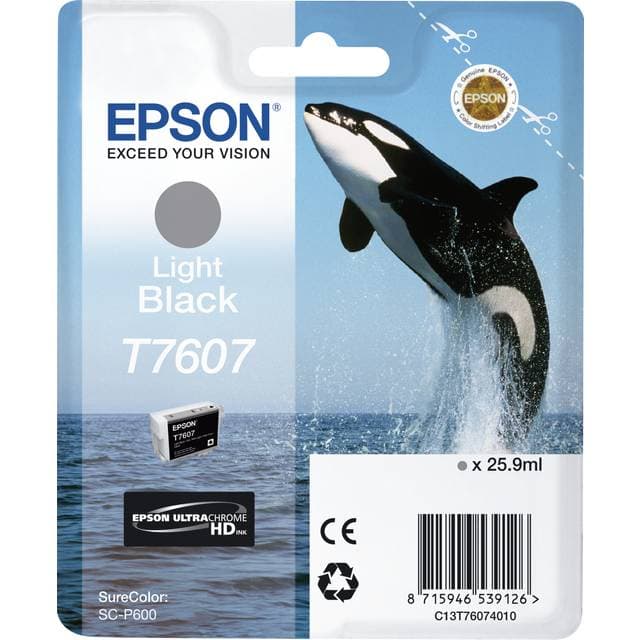 Epson T7607 (Light Black)