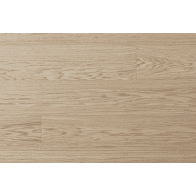 Moland SUPER-EG Mitchell 10401264