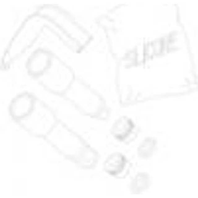 Damixa Rep.sæt pakninger fjedre