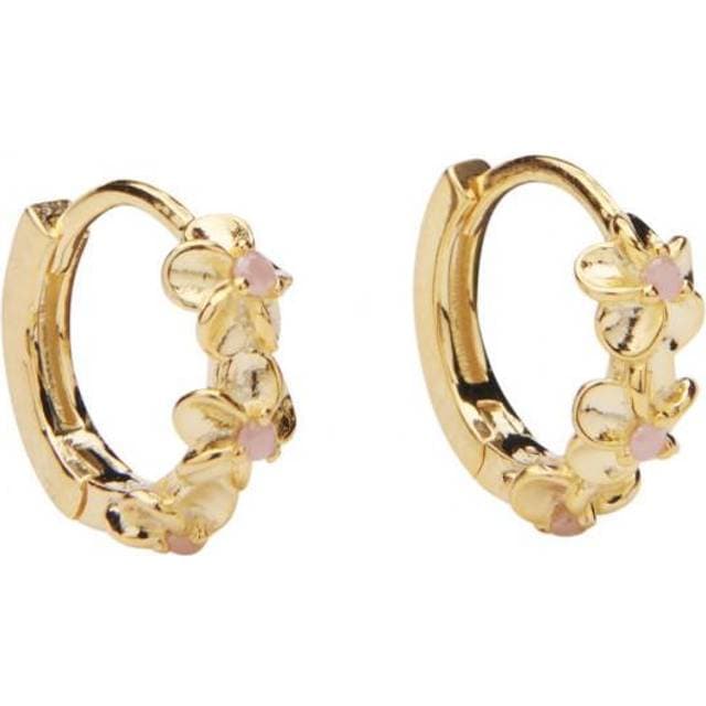 Pico Aster (M01012-Powderopac)