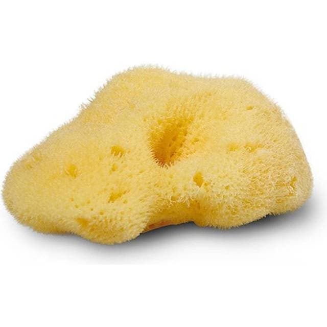 Cocoon Company Natursvamp Silke