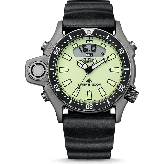 Citizen Promaster (JP2007-17W)