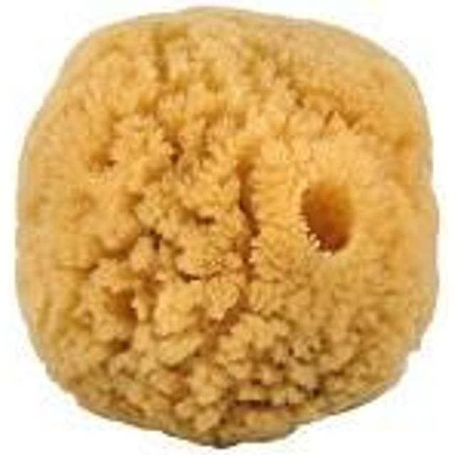 Croll & Denecke Natursvamp 10-12 Caribien 1