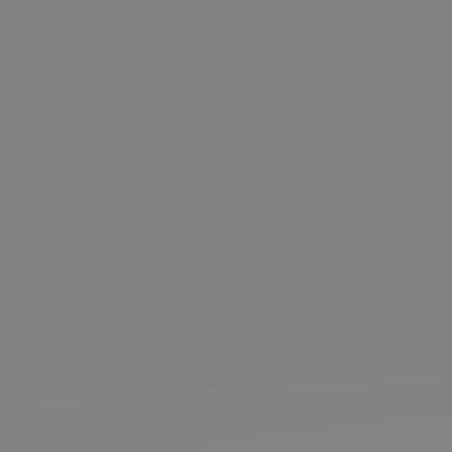 Lee Rulle 211 0.9 ND