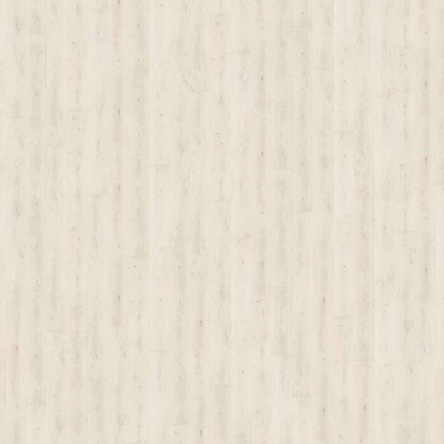 Haro Tritty 100 (538765)