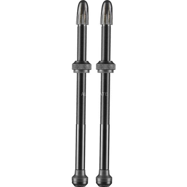 Schwalbe Tubeless ventil sæt 2