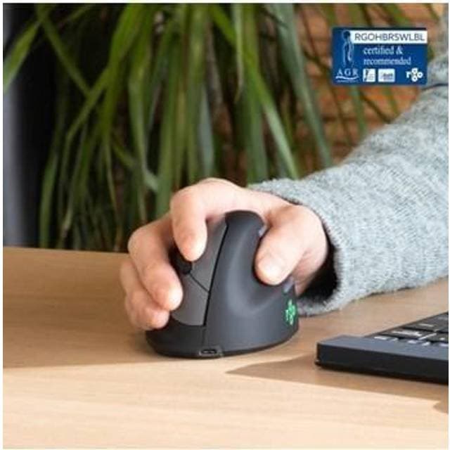 R-Go Tools Break Ergonomic Mouse