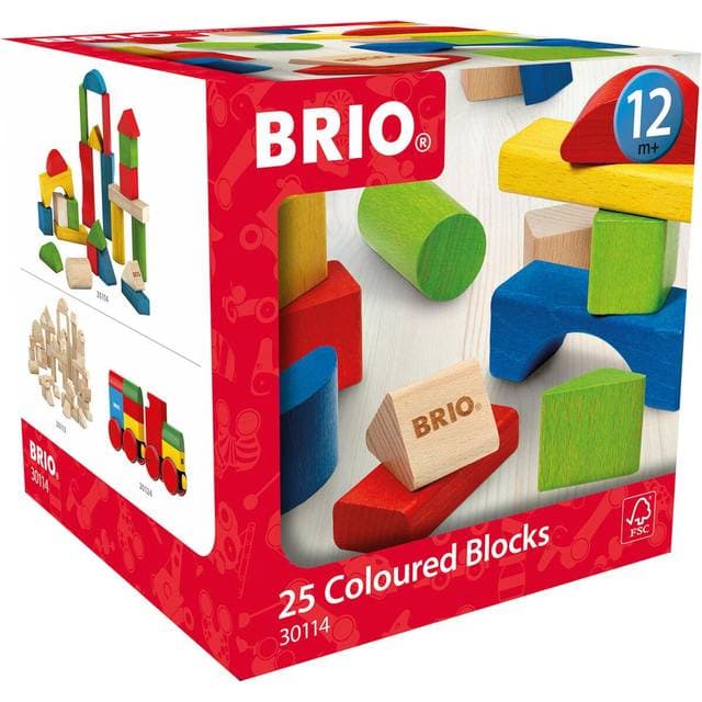 BRIO 25 Coloured Blocks 30114