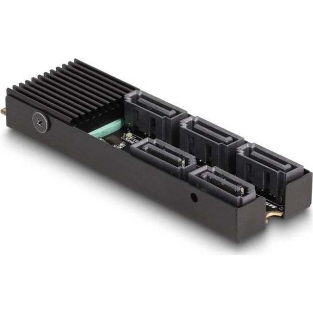 DeLock M.2 to SATA Convertor