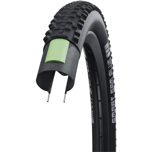 Schwalbe Smart Sam Plus 2,25