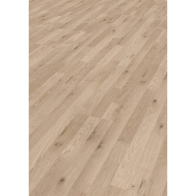 Kaindl Lys Eg 3 stav