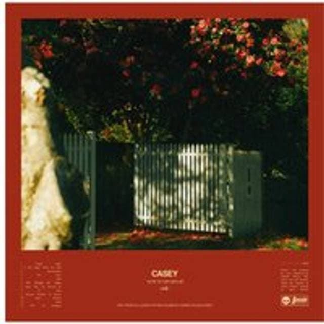 Casey (CD)