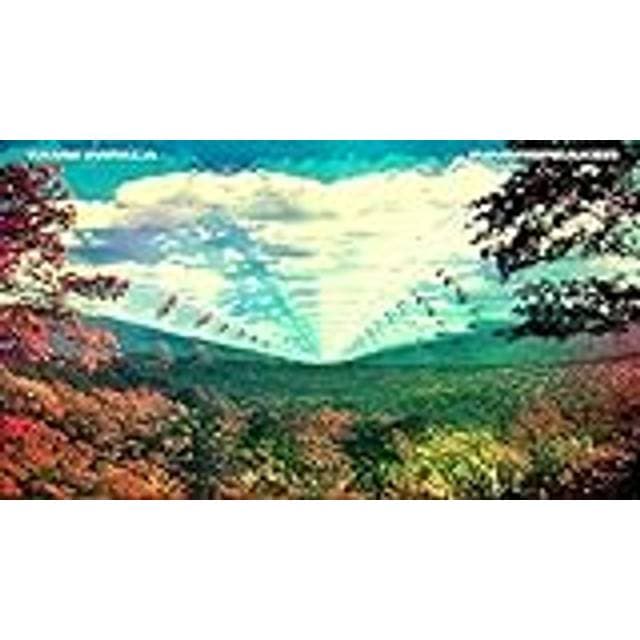 Tame Impala Innerspeaker (Vinyl)