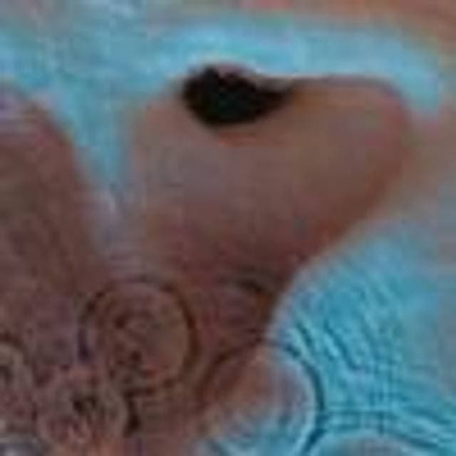 Pink Floyd - Meddle (CD)