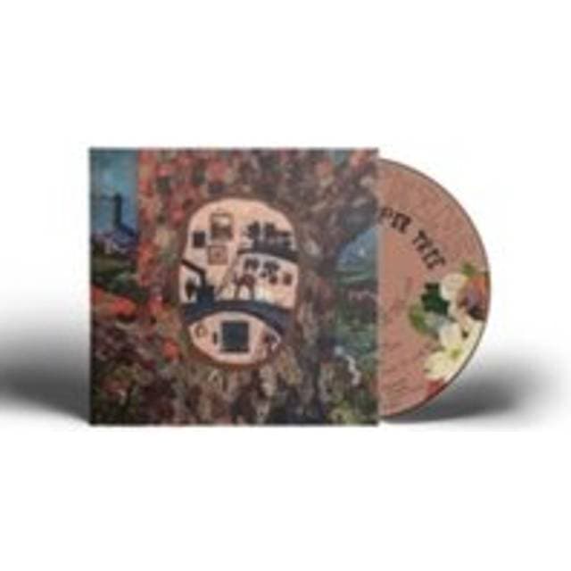 Sara Watkins Under The Peppe (CD)