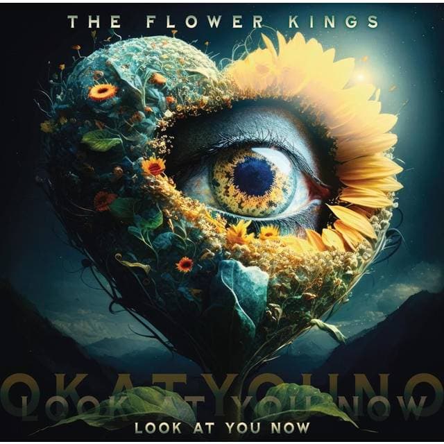 The Flower Kings Look At You Now (CD)