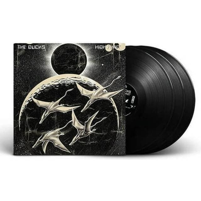 The Ducks High Flyin' (Vinyl)