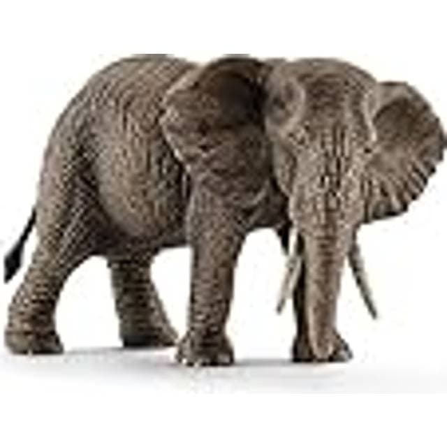 Schleich Afrikansk Elefant Hun