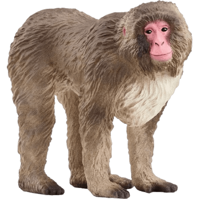 Schleich Japanese Macaque 14871
