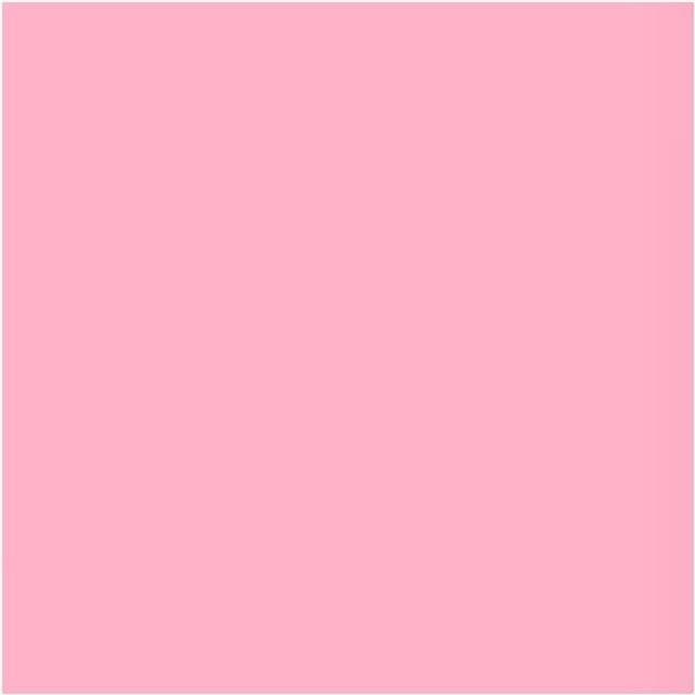 Lee Filters Rulle 110 Middle Rose