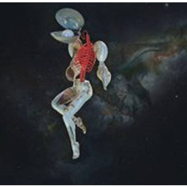 Hail Spirit Noir Fossil Garden (CD)