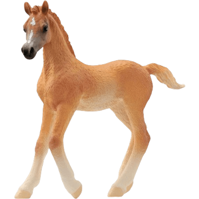 Schleich Horse Clube Arabian Foal 13984
