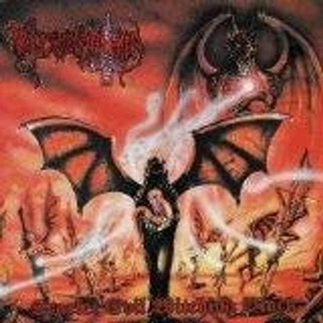 PELA Møtrikknuser 4 Dele (Vinyl)