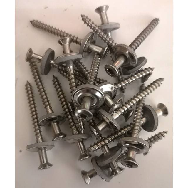 S&P 200 Stk Tagskrue 4.5 x 60 mm A2 TX20