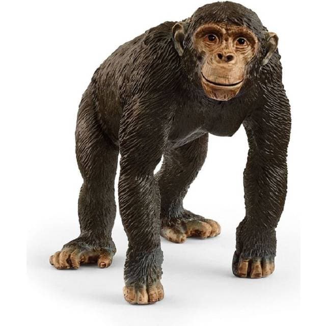 Schleich Chimpanzee