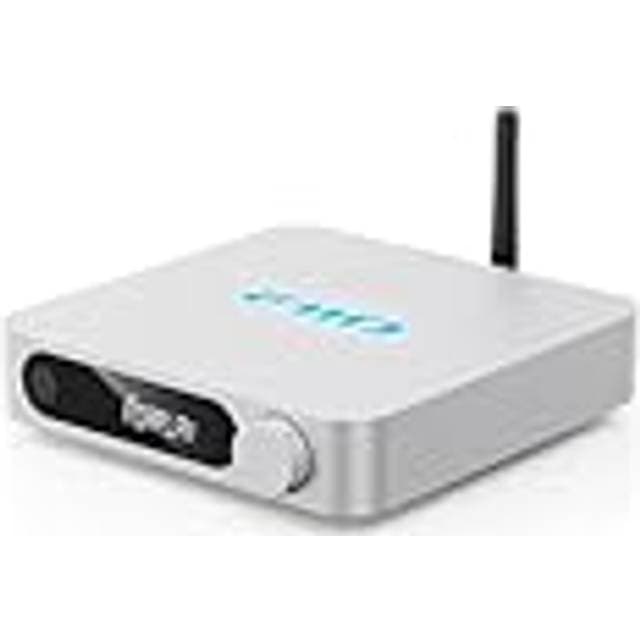 Fiio SR11 Netværksstreamer