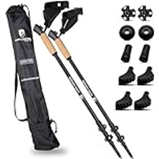 Alpin Loacker Nordic Walking Stöcke