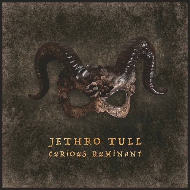 Jethro Tull Curious Ruminant (Vinyl)