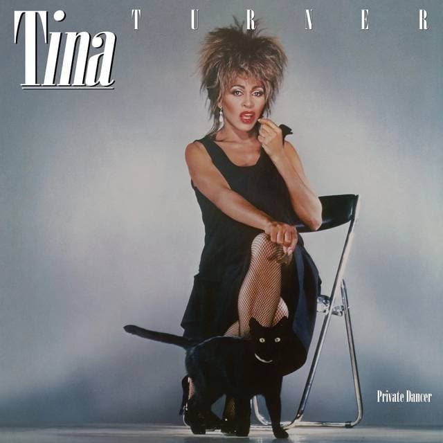 Tina Turner - Private Dancer (Vinyl)