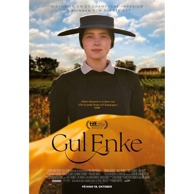 Den Gule Enke (DVD)