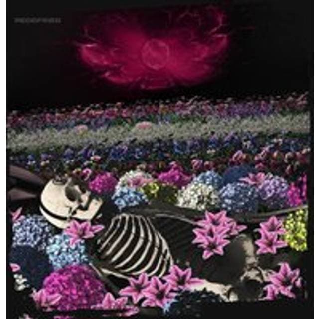 Dead Rabbitts (LP) (Vinyl)