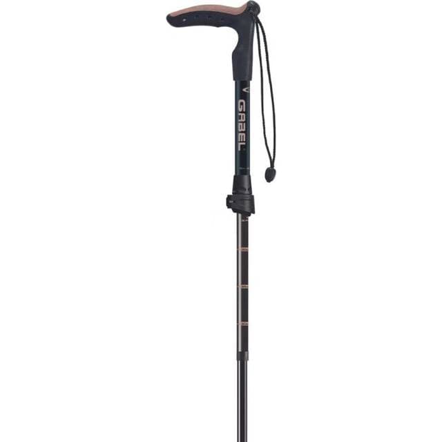 Gabel Explorer Wired F.L XTL Poles