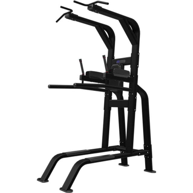 Nautilus Inspiration PullUp Dip LegRaise Sort