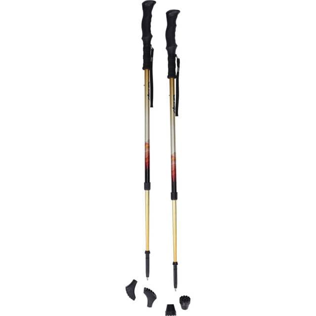 Drive Summit Walking Poles