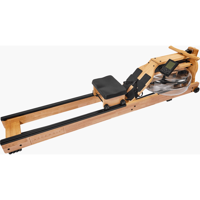 Ascendic 6001 Romaskine Egetræ