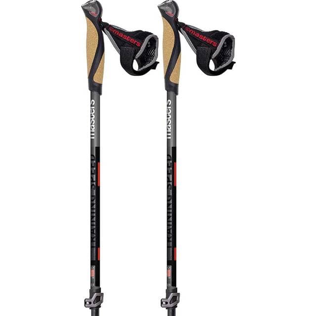 Masters Training Speed Poles Silber 86-130 cm