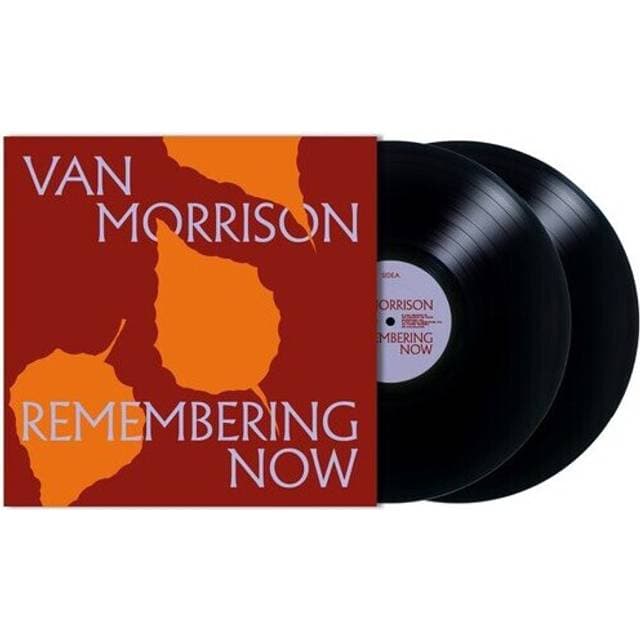 Morrison Van: Remembering Now (Vinyl)