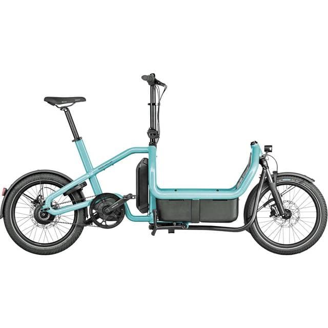 Riese & Müller Carrie Vario - Aqua Unisex