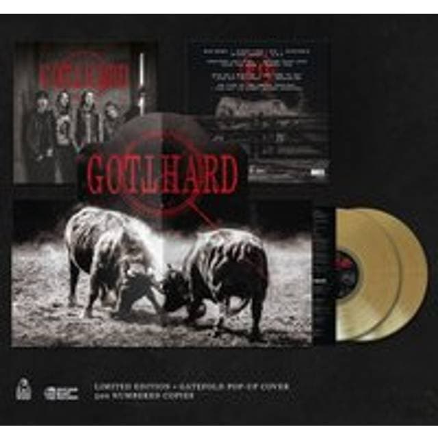 Gotthard LP 13 Unisex Standard (Vinyl)
