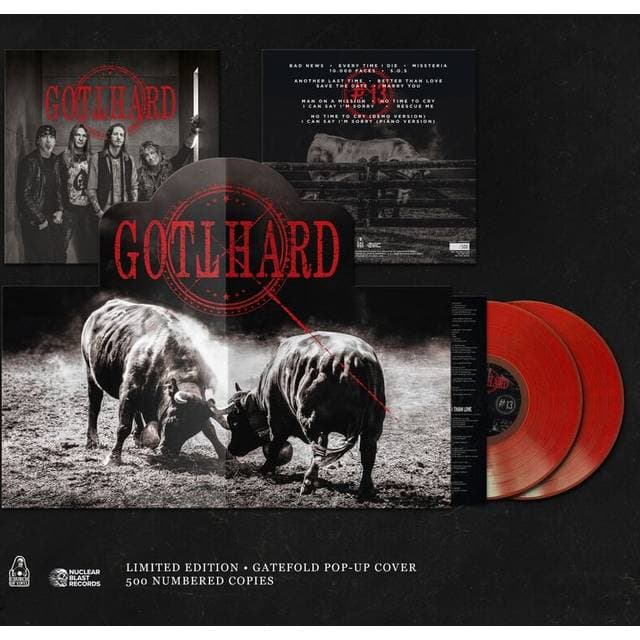 Gotthard LP 13 Unisex Standard (Vinyl)