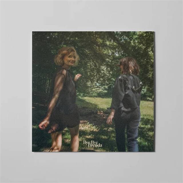 Bye Bye Brenda Landmarks LP (Vinyl)