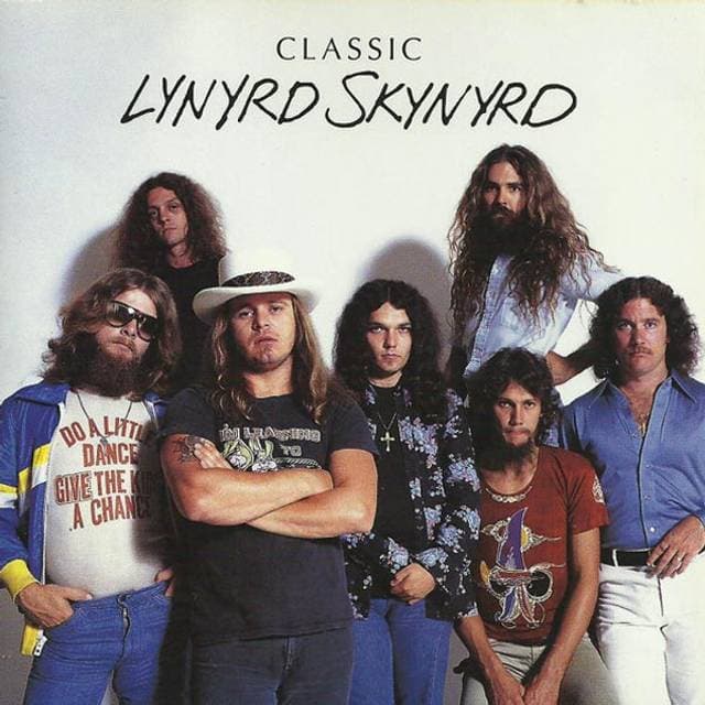 Lynyrd Skynyrd Classic 1973-89 (CD)