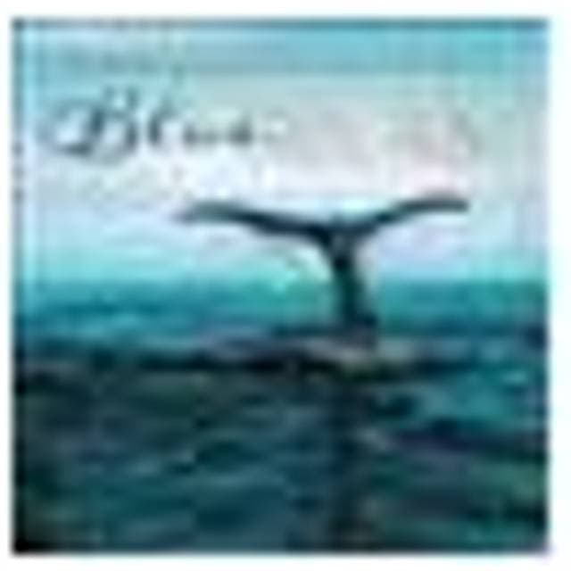 The Relaxing Sound of the Whales (CD)