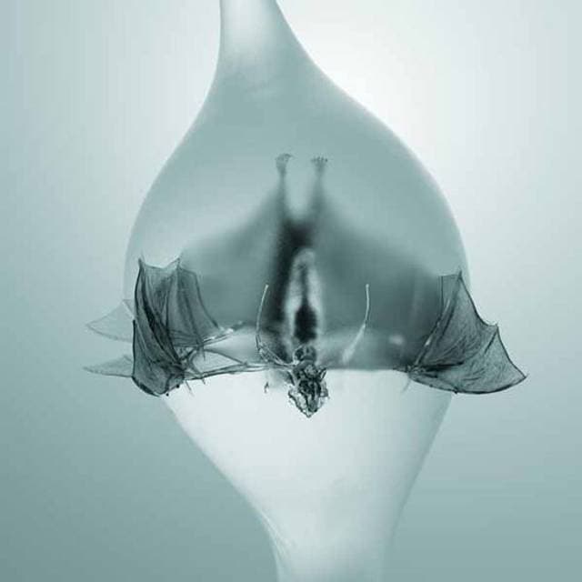 Unprocessed Angel Unisex Standard (CD)